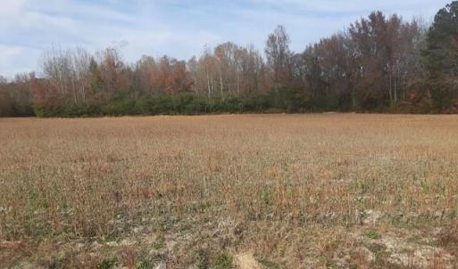 Photo #1 of 36+ac Corinth Chapel Road, Suffolk, Virginia 36.6 acres