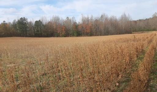 Photo #3 of 36+ac Corinth Chapel Road, Suffolk, Virginia 36.6 acres