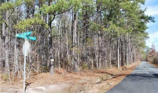 Photo #1 of 95 Camp Pond Road, Suffolk, Virginia 1.0 acres