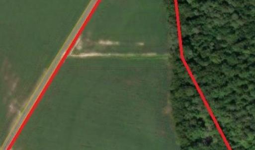 Photo #3 of 26 AC Desert Road, Suffolk, Virginia 26.8 acres