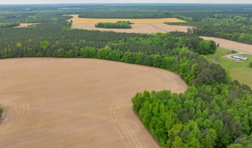 Photo #15 of 99+ AC Tennessee Road, Drewryville, Virginia 99.4 acres