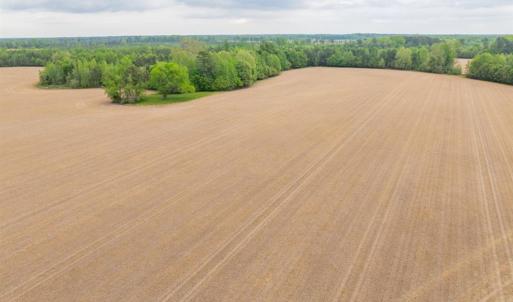 Photo #18 of 99+ AC Tennessee Road, Drewryville, Virginia 99.4 acres