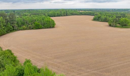 Photo #19 of 99+ AC Tennessee Road, Drewryville, Virginia 99.4 acres