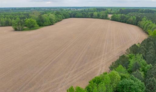 Photo #20 of 99+ AC Tennessee Road, Drewryville, Virginia 99.4 acres