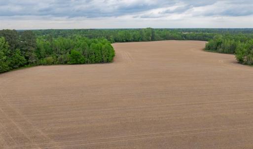 Photo #24 of 99+ AC Tennessee Road, Drewryville, Virginia 99.4 acres