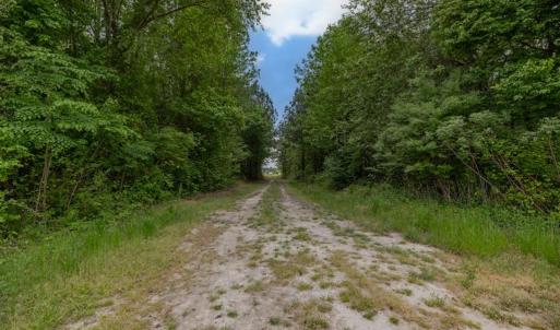 Photo #5 of 99+ AC Tennessee Road, Drewryville, Virginia 99.4 acres