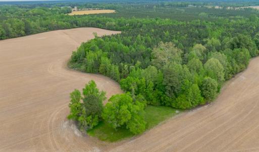 Photo #8 of 99+ AC Tennessee Road, Drewryville, Virginia 99.4 acres