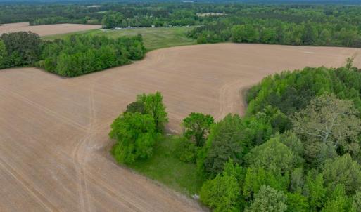 Photo #9 of 99+ AC Tennessee Road, Drewryville, Virginia 99.4 acres