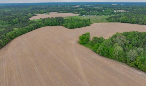 Photo #10 of 99+ AC Tennessee Road, Drewryville, Virginia 99.4 acres