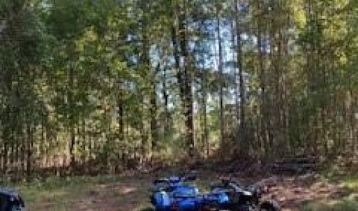 Photo #16 of 14+ac 32 Highway, Roper, North Carolina 14.7 acres