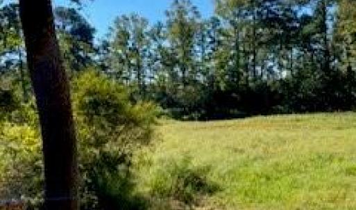 Photo #27 of 14+ac 32 Highway, Roper, North Carolina 14.7 acres