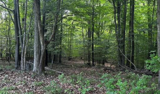 Photo #17 of 145 Sloop Point / Claremont area Road, Spring Grove, Virginia 24.5 acres