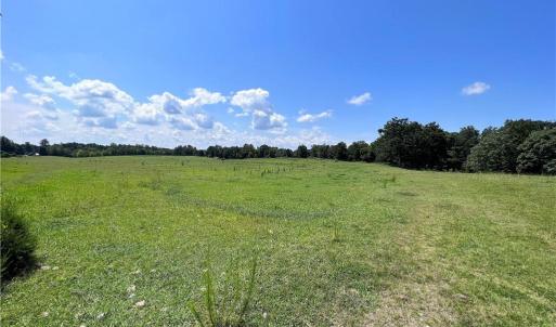 Photo #5 of 192.74 AC US Highway 220, Stokesdale, NC 192.7 acres