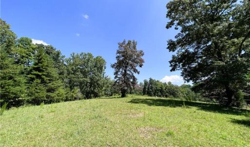 Photo #24 of 192.74 AC US Highway 220, Stokesdale, NC 192.7 acres