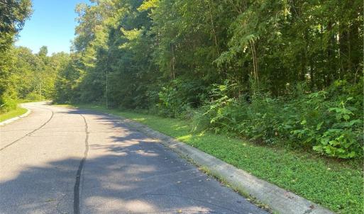 Photo #4 of LOT 31 Rhode Island, Mocksville, NC 3.7 acres