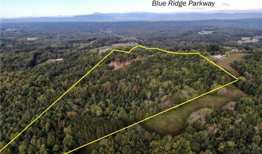 Photo #3 of Pedigo Ridge, Claudville, VA 41.6 acres