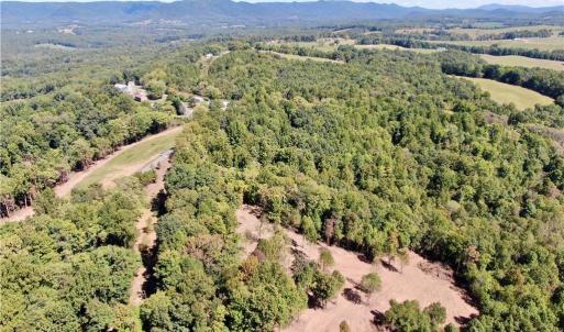 Photo #28 of Pedigo Ridge, Claudville, VA 41.6 acres