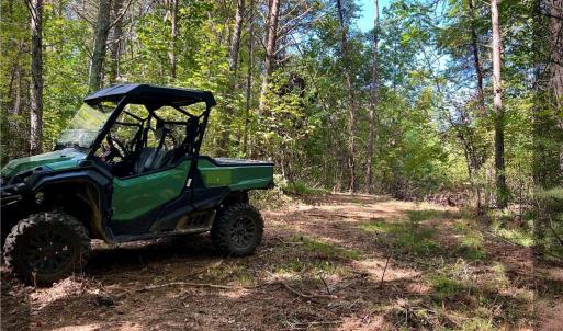 Photo #8 of Pedigo Ridge, Claudville, VA 41.6 acres