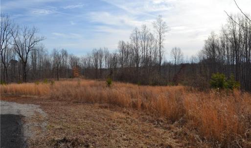 Photo #2 of 80 Acres Bobby Nelson, Sandy Ridge, NC 80.0 acres