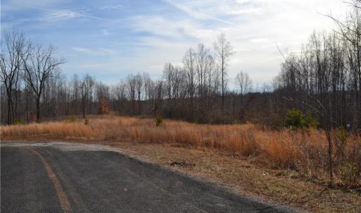 Photo #1 of 80 Acres Bobby Nelson, Sandy Ridge, NC 80.0 acres