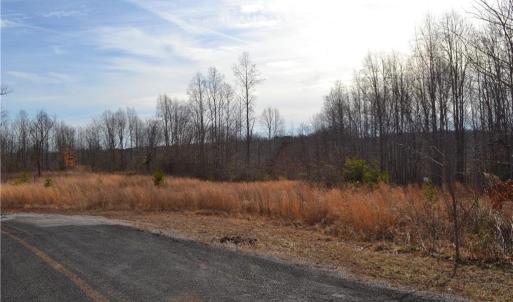 Photo #5 of 80 Acres Bobby Nelson, Sandy Ridge, NC 80.0 acres