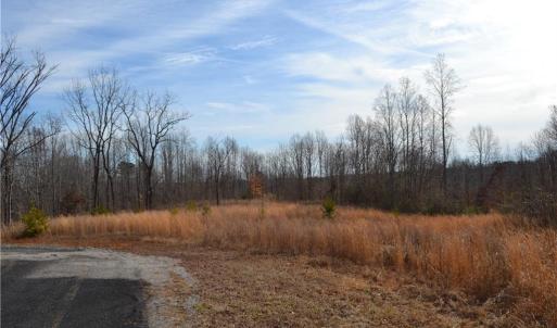 Photo #4 of 80 Acres Bobby Nelson, Sandy Ridge, NC 80.0 acres