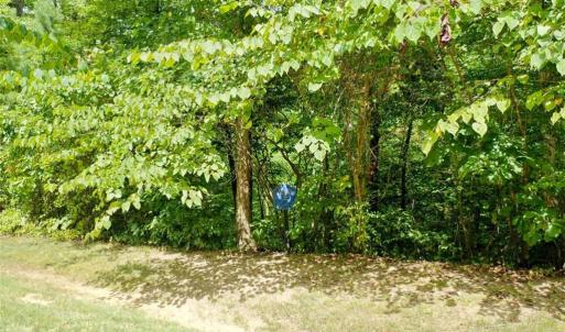 Photo #20 of 238 Bluff, Salisbury, NC 1.1 acres