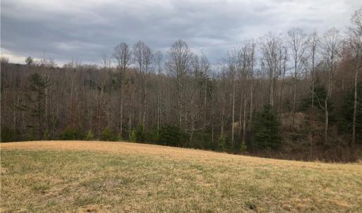 Photo #38 of Skyview, Ararat, VA 32.7 acres