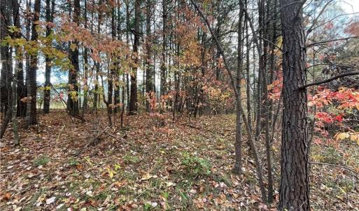 Photo #2 of Johnson, King, NC 17.1 acres