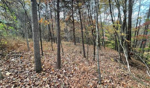 Photo #3 of Johnson, King, NC 17.1 acres