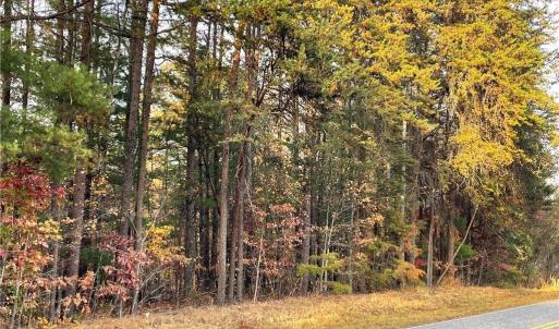 Photo #9 of Johnson, King, NC 17.1 acres