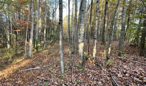 Photo #10 of Johnson, King, NC 17.1 acres