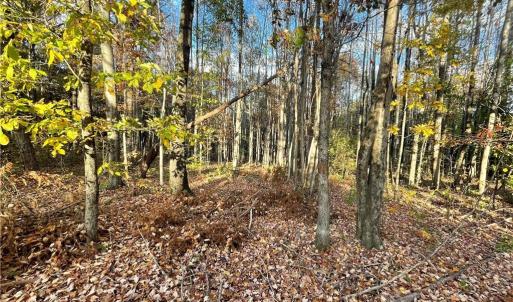 Photo #8 of Johnson, King, NC 17.1 acres