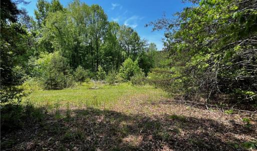 Photo #7 of Virgilina, Cana, VA 1.0 acres