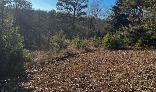 Photo #5 of Virgilina, Cana, VA 1.0 acres