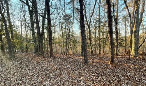 Photo #13 of 331 Balsam, Troy, NC 0.6 acres