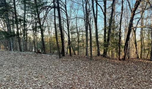 Photo #12 of 331 Balsam, Troy, NC 0.6 acres