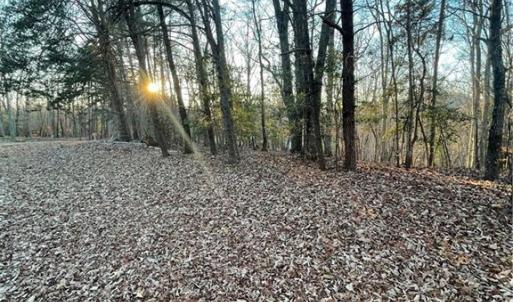 Photo #11 of 331 Balsam, Troy, NC 0.6 acres