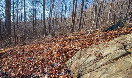 Photo #13 of TBD Trot Valley, Stuart, VA 72.8 acres