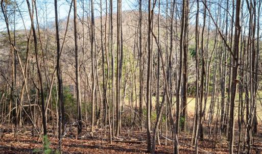 Photo #7 of TBD Trot Valley, Stuart, VA 72.8 acres