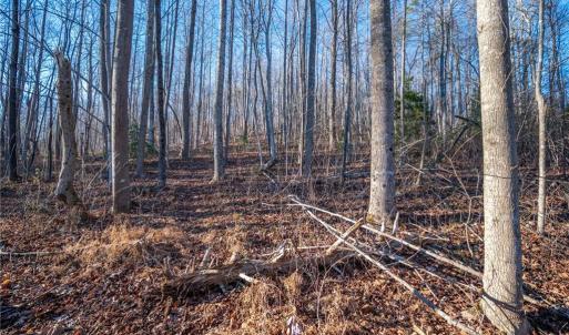 Photo #5 of TBD Trot Valley, Stuart, VA 72.8 acres