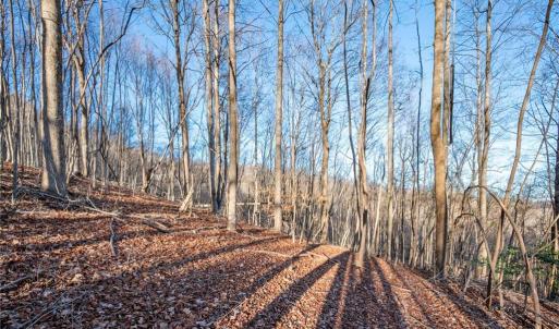 Photo #10 of TBD Trot Valley, Stuart, VA 72.8 acres