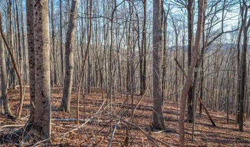 Photo #14 of TBD Trot Valley, Stuart, VA 72.8 acres