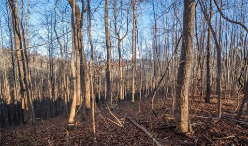 Photo #15 of TBD Trot Valley, Stuart, VA 72.8 acres