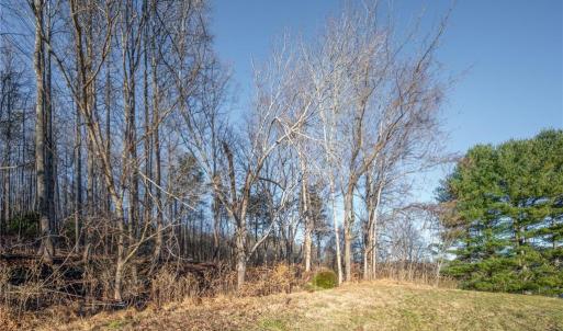 Photo #4 of TBD Trot Valley, Stuart, VA 72.8 acres