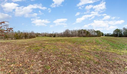 Photo #23 of 317 Archie Yokeley, Winston Salem, NC 70.8 acres