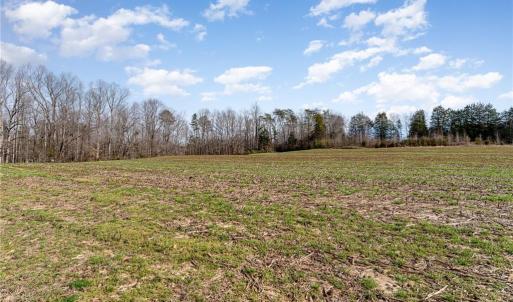 Photo #15 of 317 Archie Yokeley, Winston Salem, NC 70.8 acres