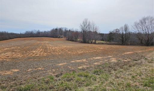 Photo #2 of Sells Farm, Kernersville, NC 25.0 acres