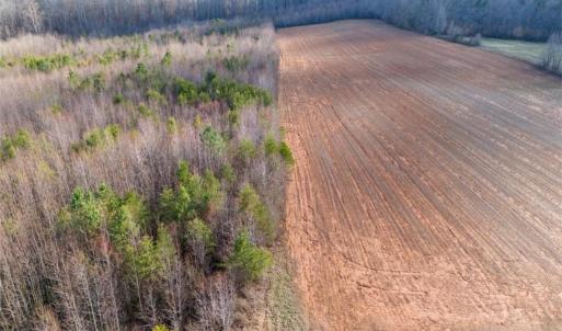 Photo #13 of Sells Farm, Kernersville, NC 25.0 acres