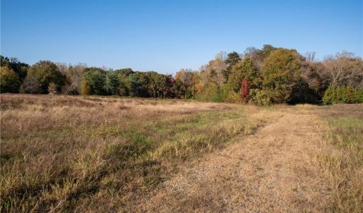 Photo #8 of Boyd, Reidsville, NC 29.4 acres